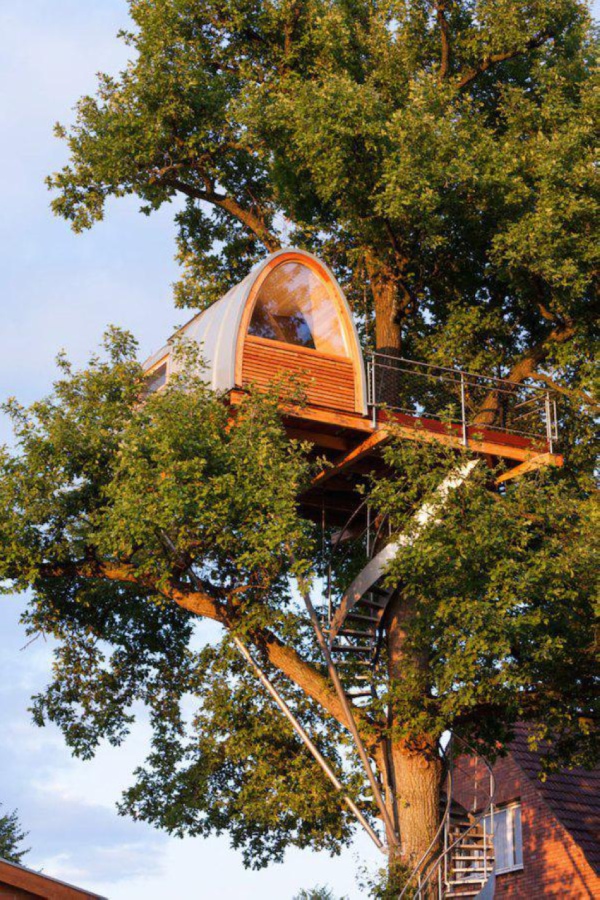 Мечта детства домики на дереве